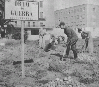 firenze cittadini e militi coltivano un campo di patate a Firenze palazzi sullo sfondo, come pure i prodotti